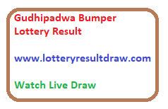 maharashtra gudipadwa bumper draw|Maharashtra Gudipadwa Bumper Lottery Results .